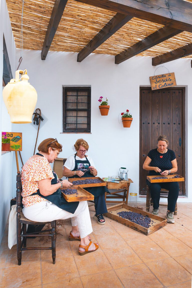 Tres mujeres sentadas en la puerta de una casa picando pasas en la Fiesta de Viñeros de Moclinejo