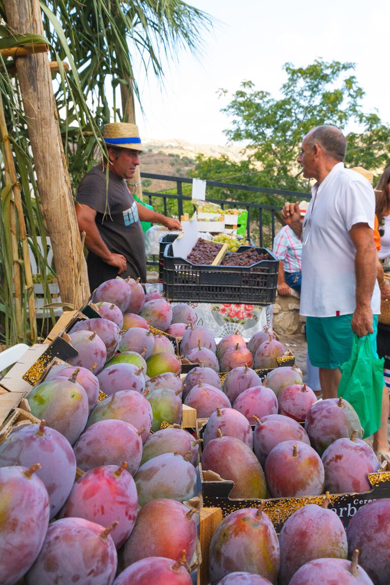 Un puesto de productos locales con mangos y un hombre comprando en el segundo plano en la Fiesta de Viñeros de Moclinejo