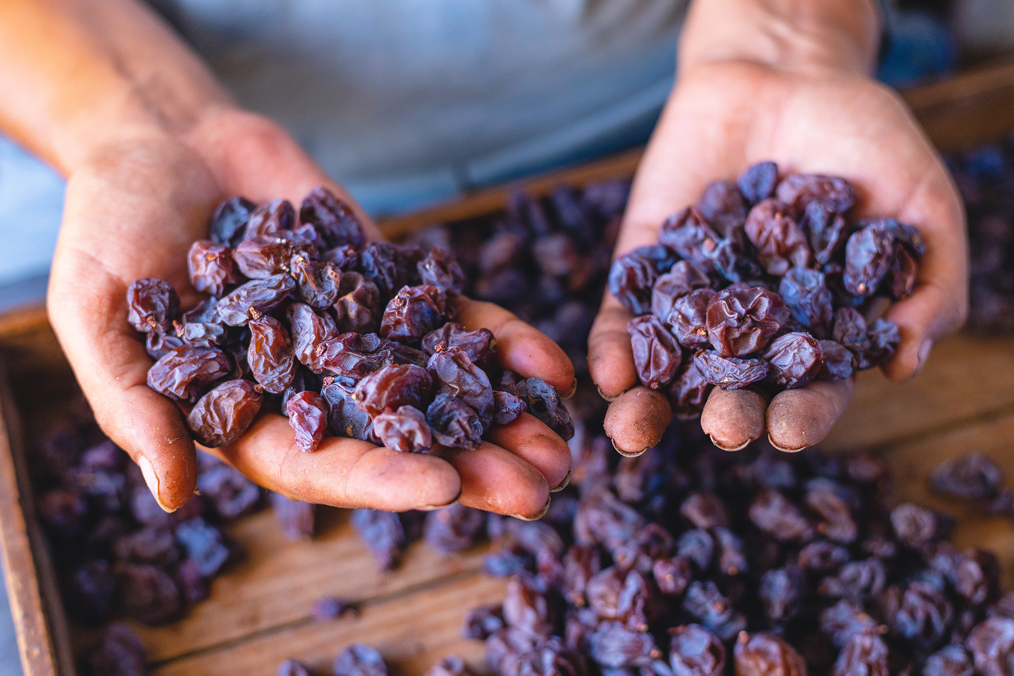 Detalle de unas manos sosteniendo unas pasas después de picarlas